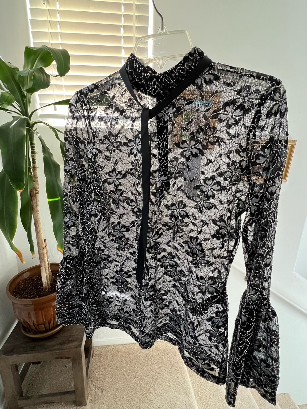 Anne Fontaine Sheer Black Lace Top Laurine Victorian Goth Romantic FR 42 US 10 - Picture 6 of 14